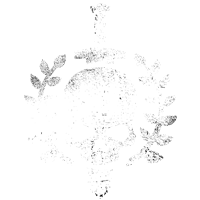 Veteran